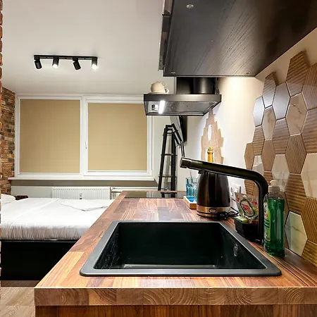 アパート Redbrick Center Iv クライペダ